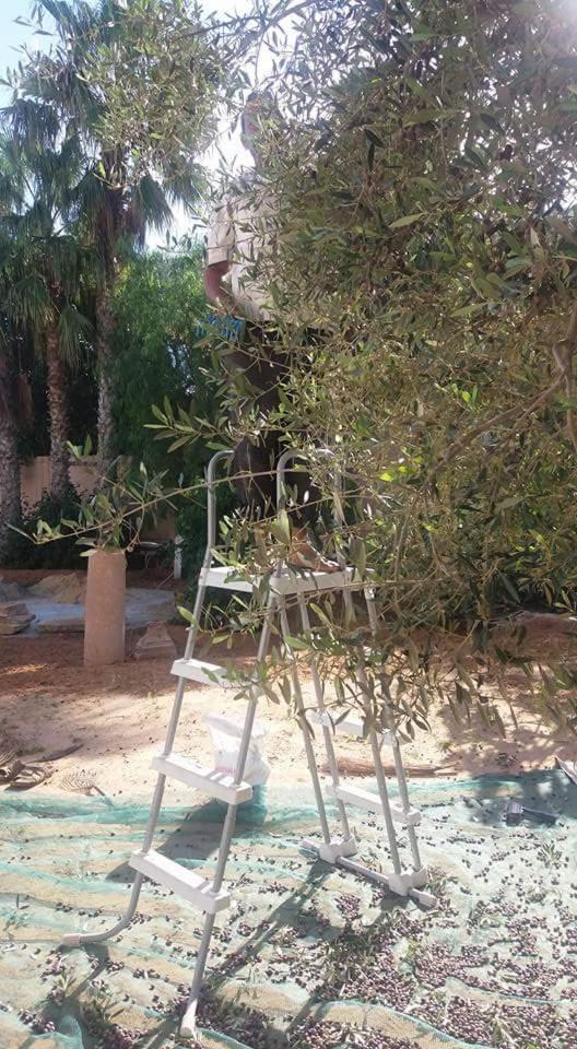 Maison D'Hotes Dar Salma Gobernación de Gobernación de Sfax Exterior foto